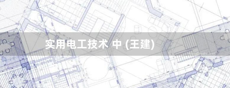 实用电工技术 中 (王建)